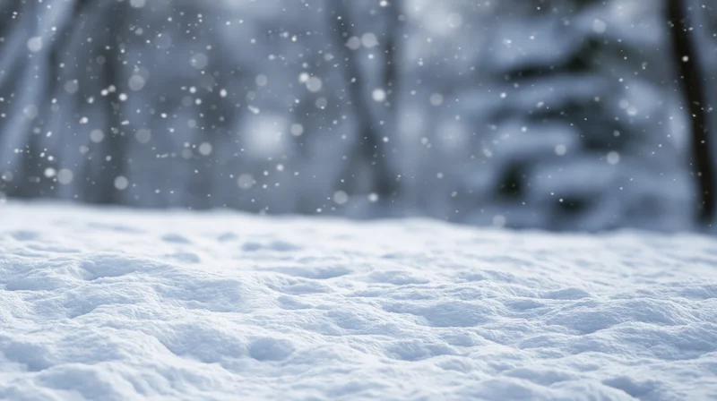 Snow-covered ground with falling snowflakes in a blurred forest background