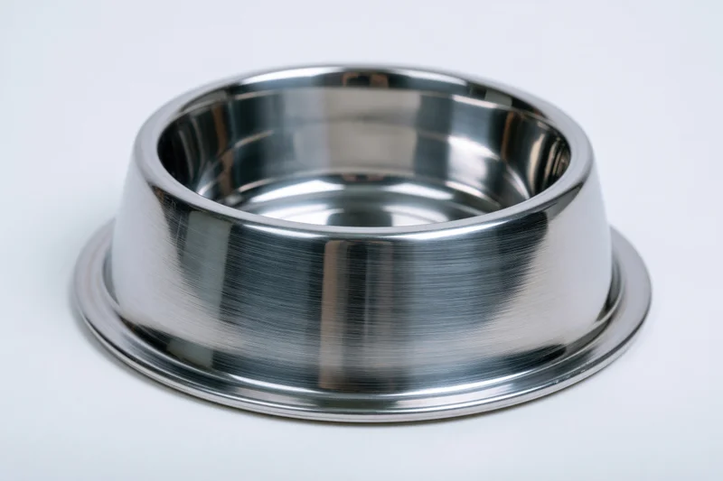 Empty stainless steel pet food bowl on white background