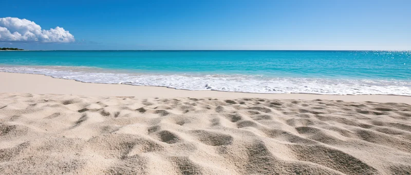 Tropical beach with fine pale sand in foreground and turquoise ocean waves rolling in under clear blue sky