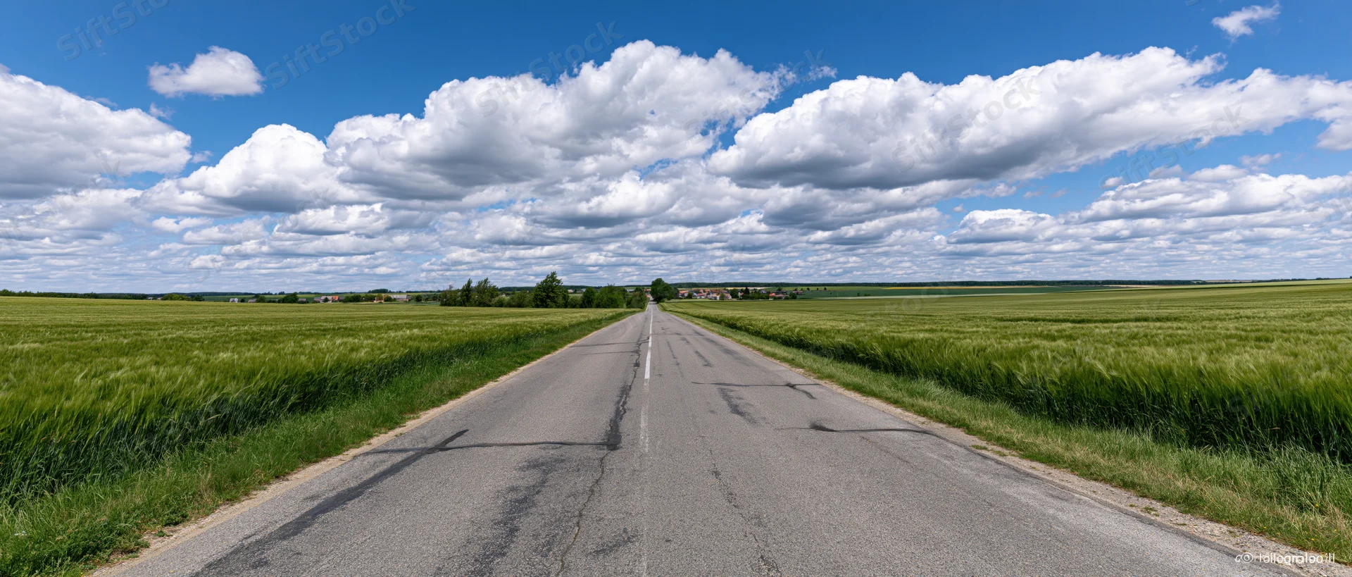 Straight asphalt country road stretching into the horizon between green fields under a blue sky with white clouds