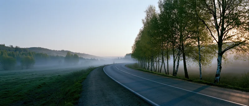Winding asphalt road curving through foggy rural landscape at dawn