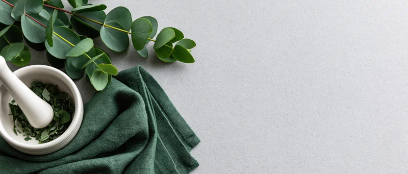Eucalyptus branches and a white ceramic mortar with pestle and crushed leaves on a gray surface with a green cloth and copyspace