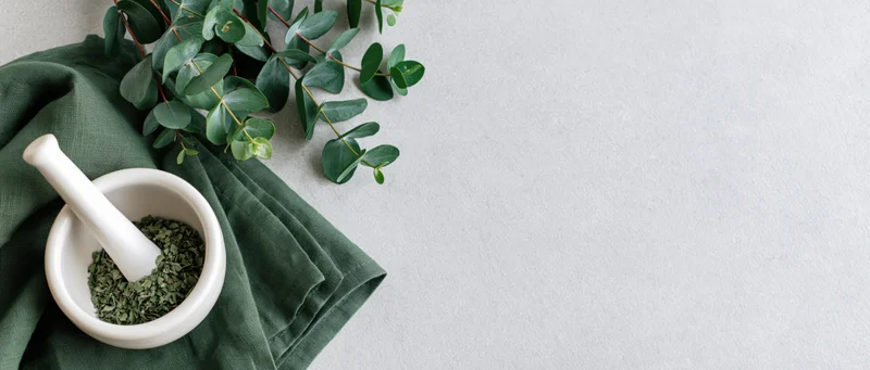 Eucalyptus branches and a white ceramic mortar with crushed herbs on a green cloth over a light surface