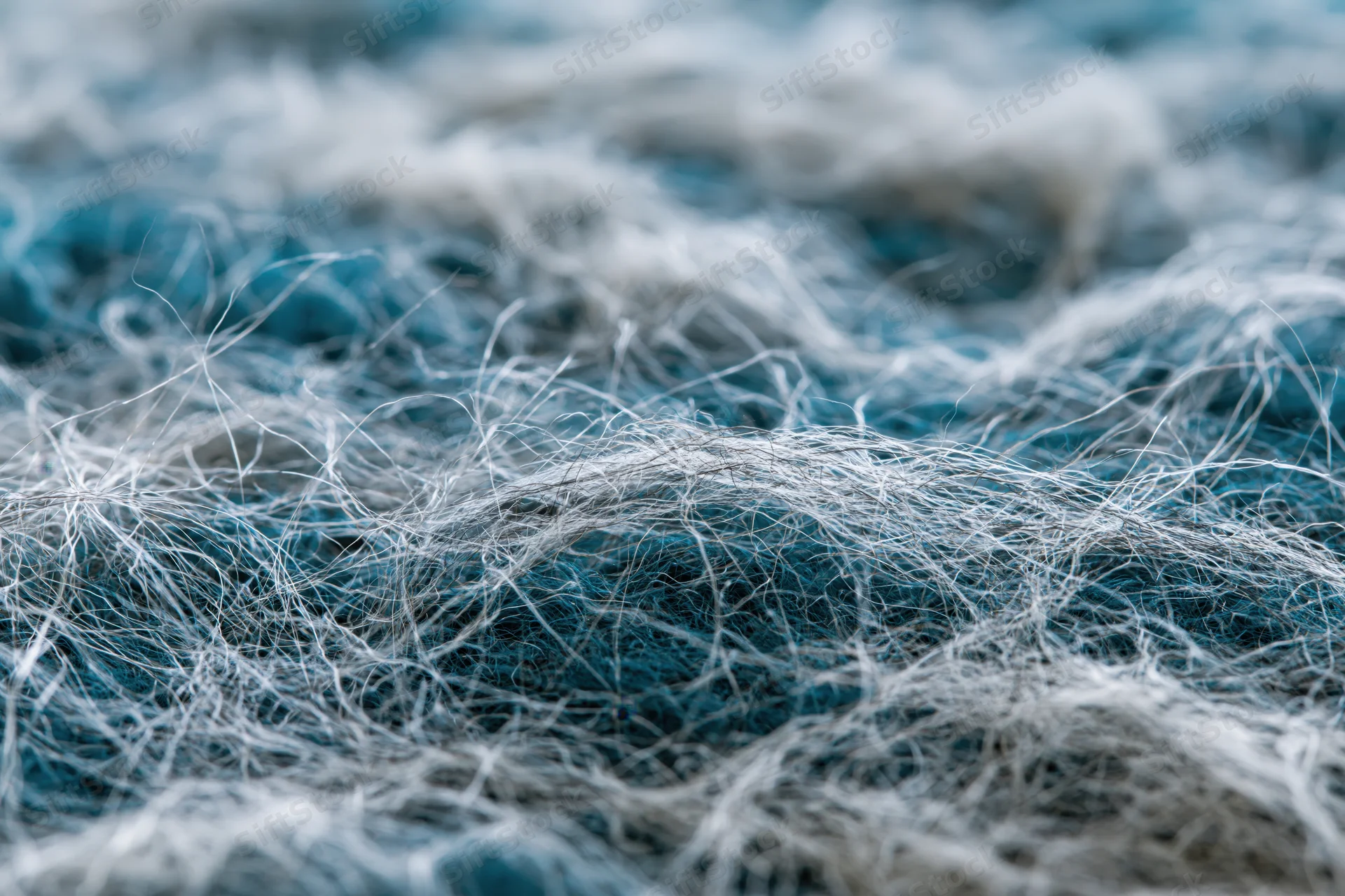 Close-up of tangled wool fibers in blue and white tones