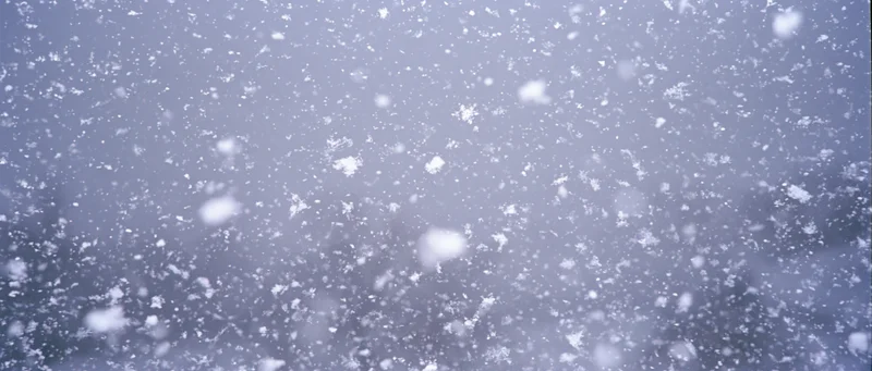 Snow falling mid-air in an outdoor winter scene with blurred background