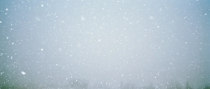 Snow falling mid-air in an outdoor winter scene with overcast sky and soft light