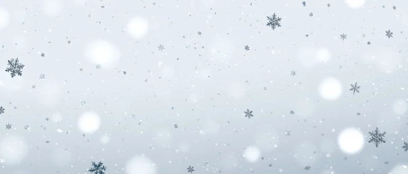 Falling snowflakes and soft bokeh particles scattered across a light gray background