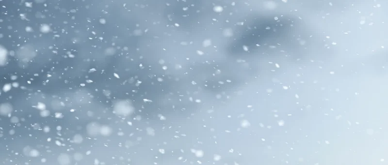 Snowflakes falling through a pale winter sky