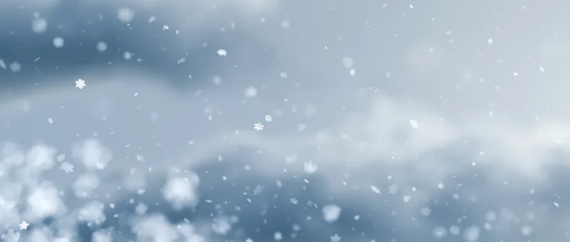 Snowflakes falling through a pale winter sky with soft clouds in the background