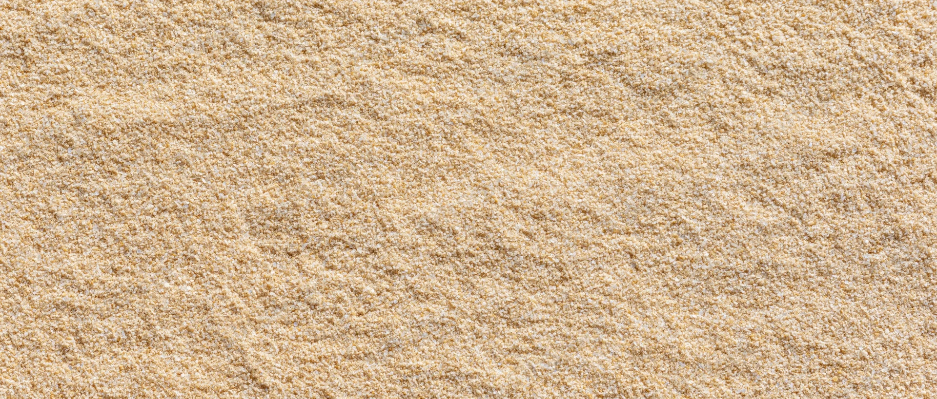 Close-up of fine dry beach sand surface filling the frame