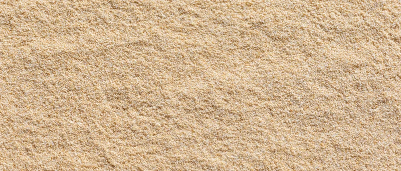 Close-up of fine dry beach sand surface filling the frame