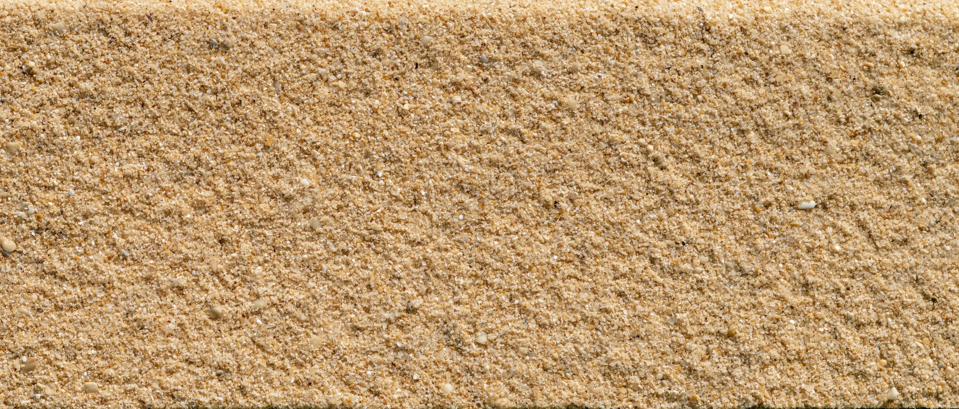 Close-up of smooth beach sand surface filling the frame