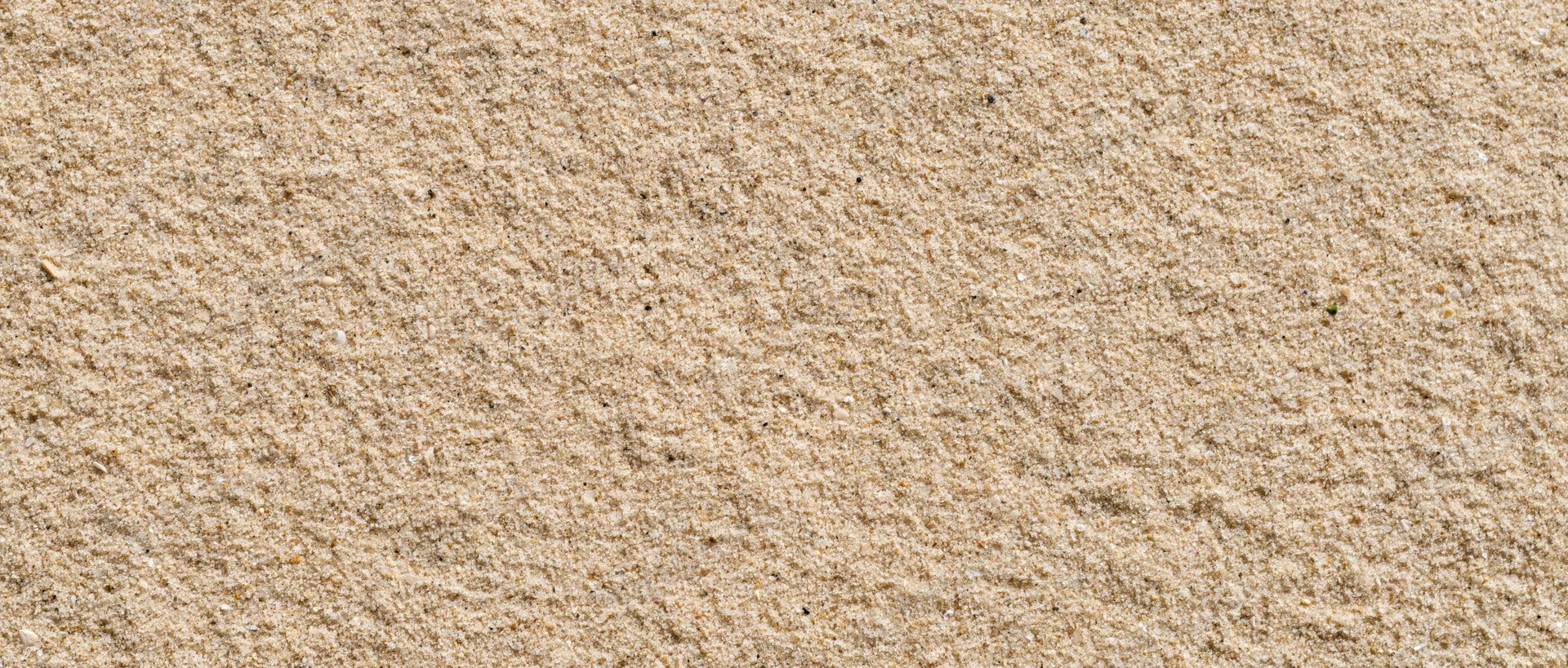 Close-up of smooth beach sand surface filling the frame
