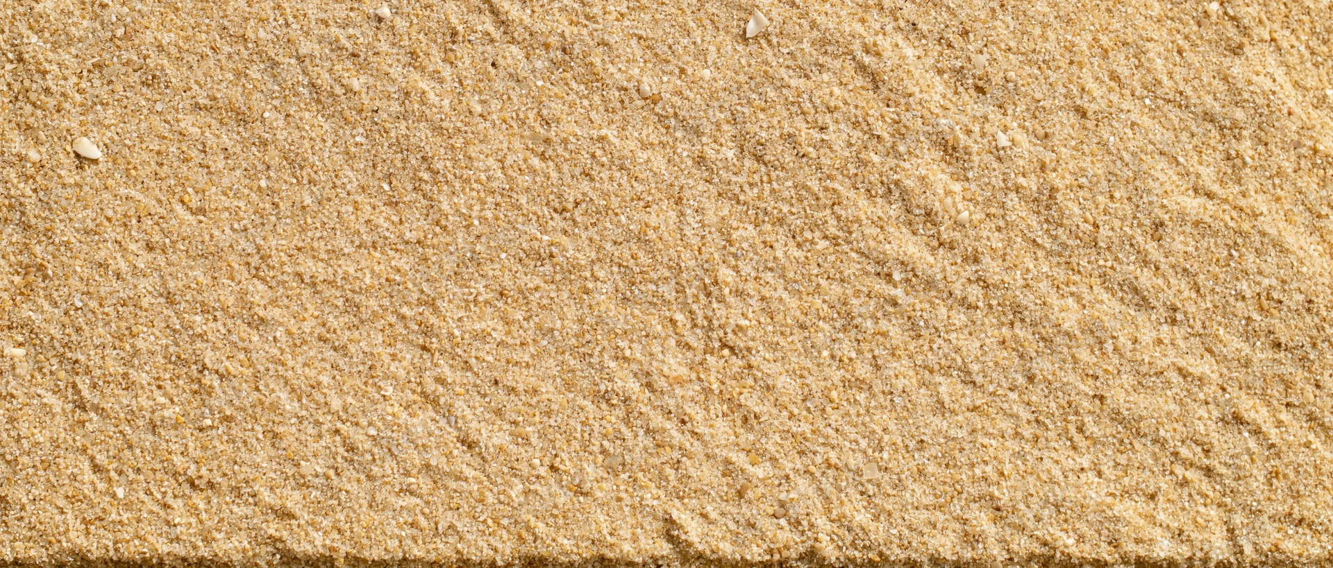 Close-up of smooth beach sand surface filling the frame
