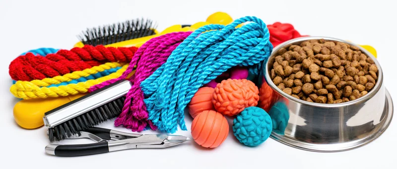 Pet care supplies including food bowl, toys, grooming tools and accessories arranged in a flat lay on white background