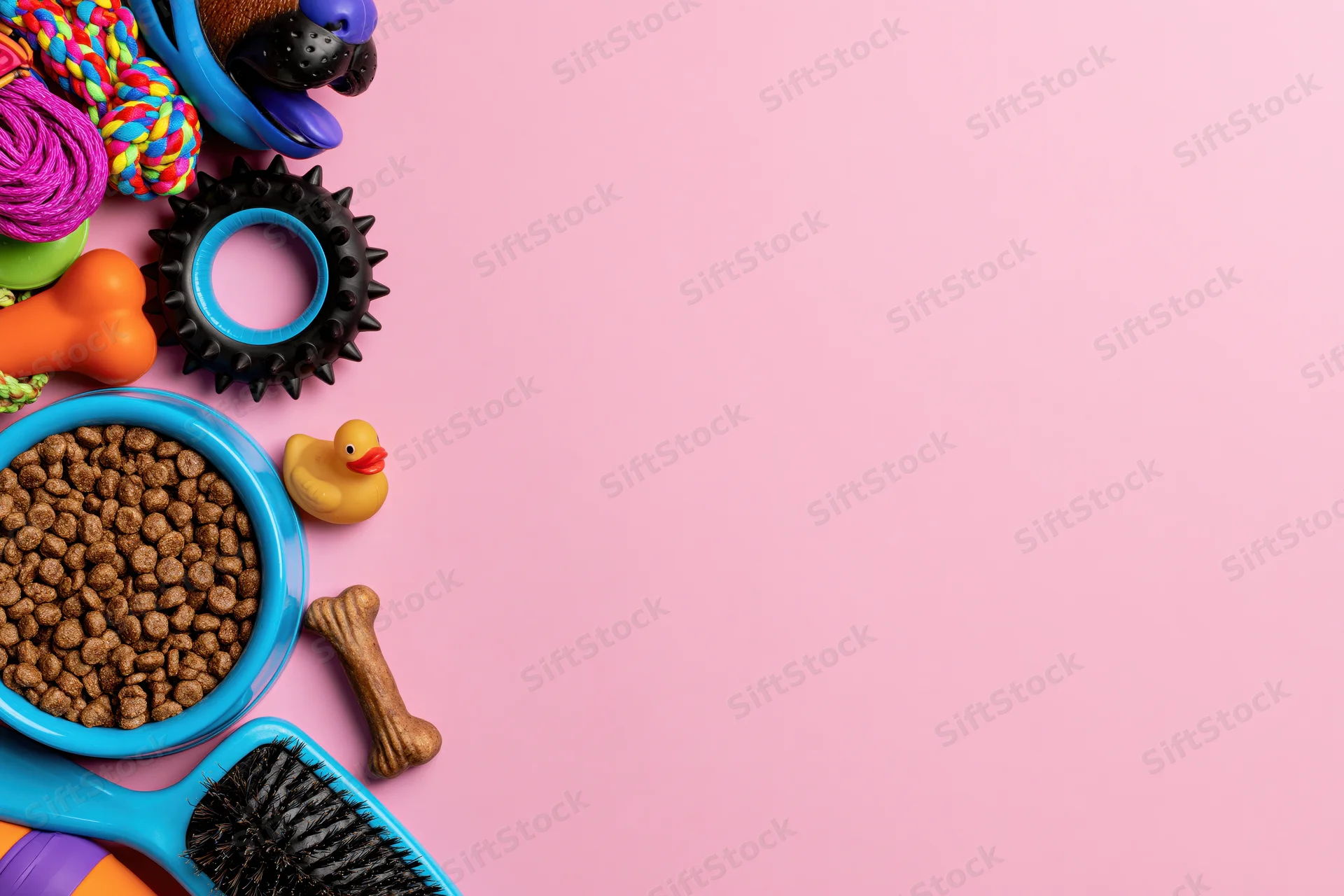 Assorted pet accessories arranged along left edge on pink background