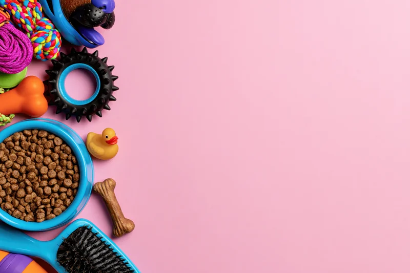 Assorted pet accessories arranged along left edge on pink background
