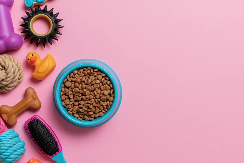 Pet accessories including toys, food bowl and grooming brush arranged on pink background with copyspace