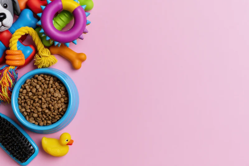 Assorted pet accessories including toys, food bowl and grooming brush arranged on left side of pink surface