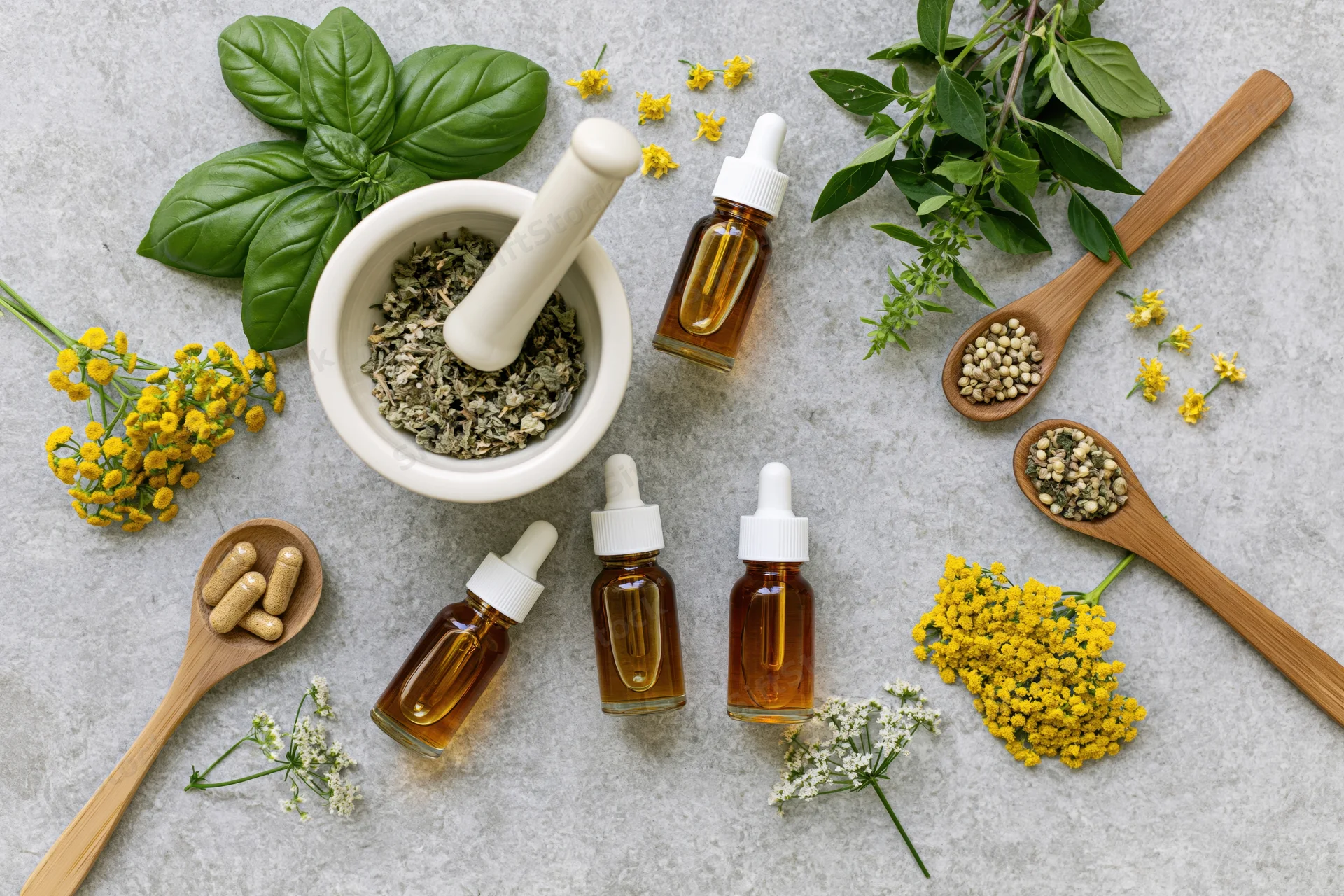 Natural herbal medicine ingredients arranged in flat lay on textured gray surface