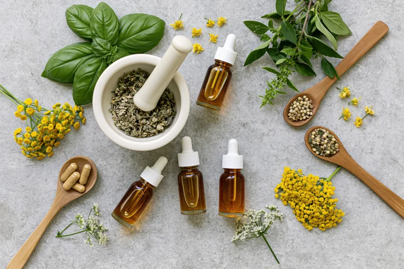 Natural herbal medicine ingredients arranged in flat lay on textured gray surface