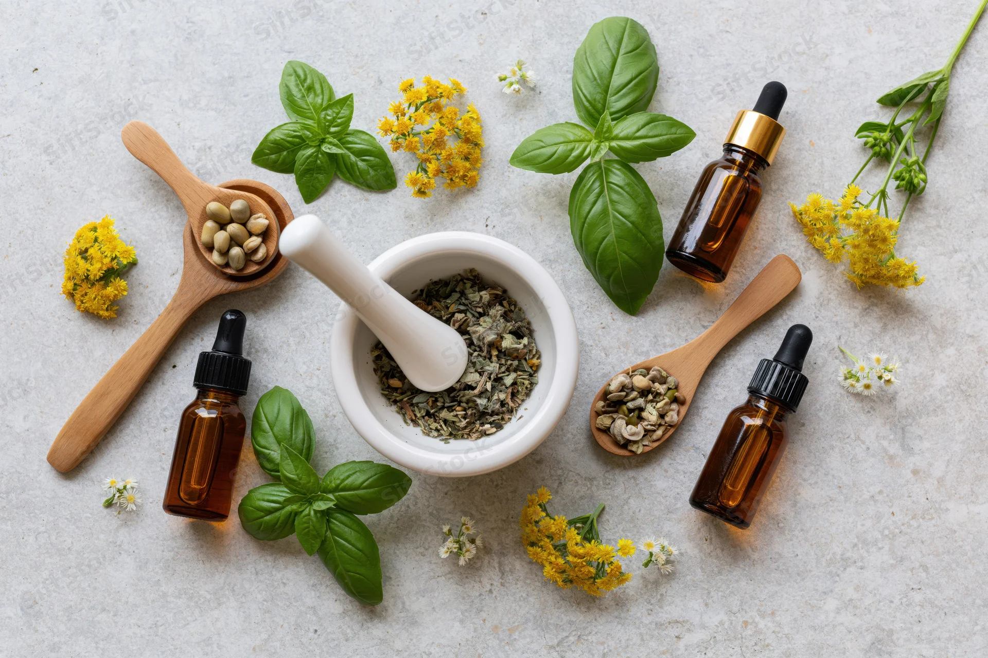 Natural herbal medicine ingredients arranged in a flat lay on a light stone surface