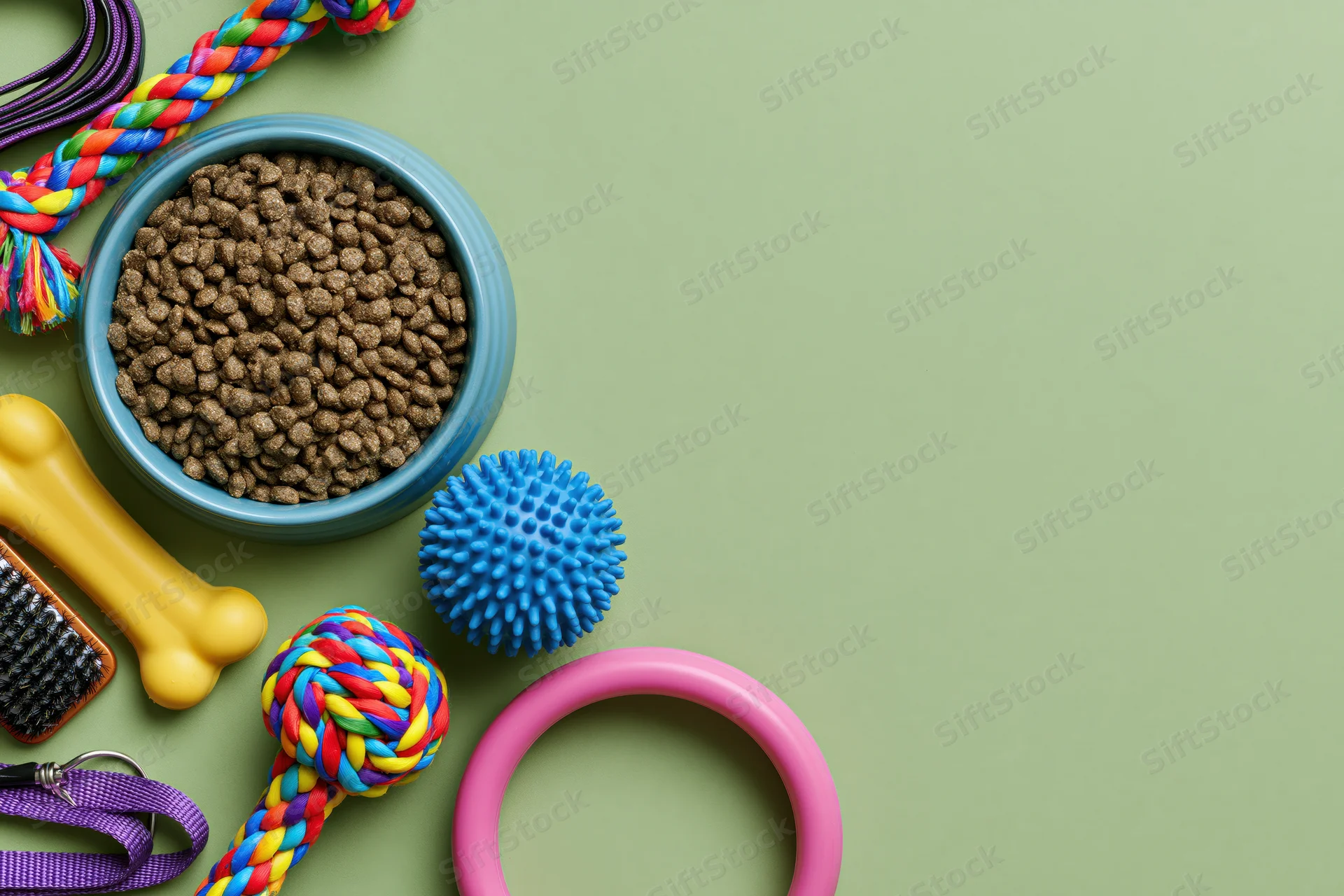 Pet accessories including toys, food bowl and grooming tools arranged along left edge on green background