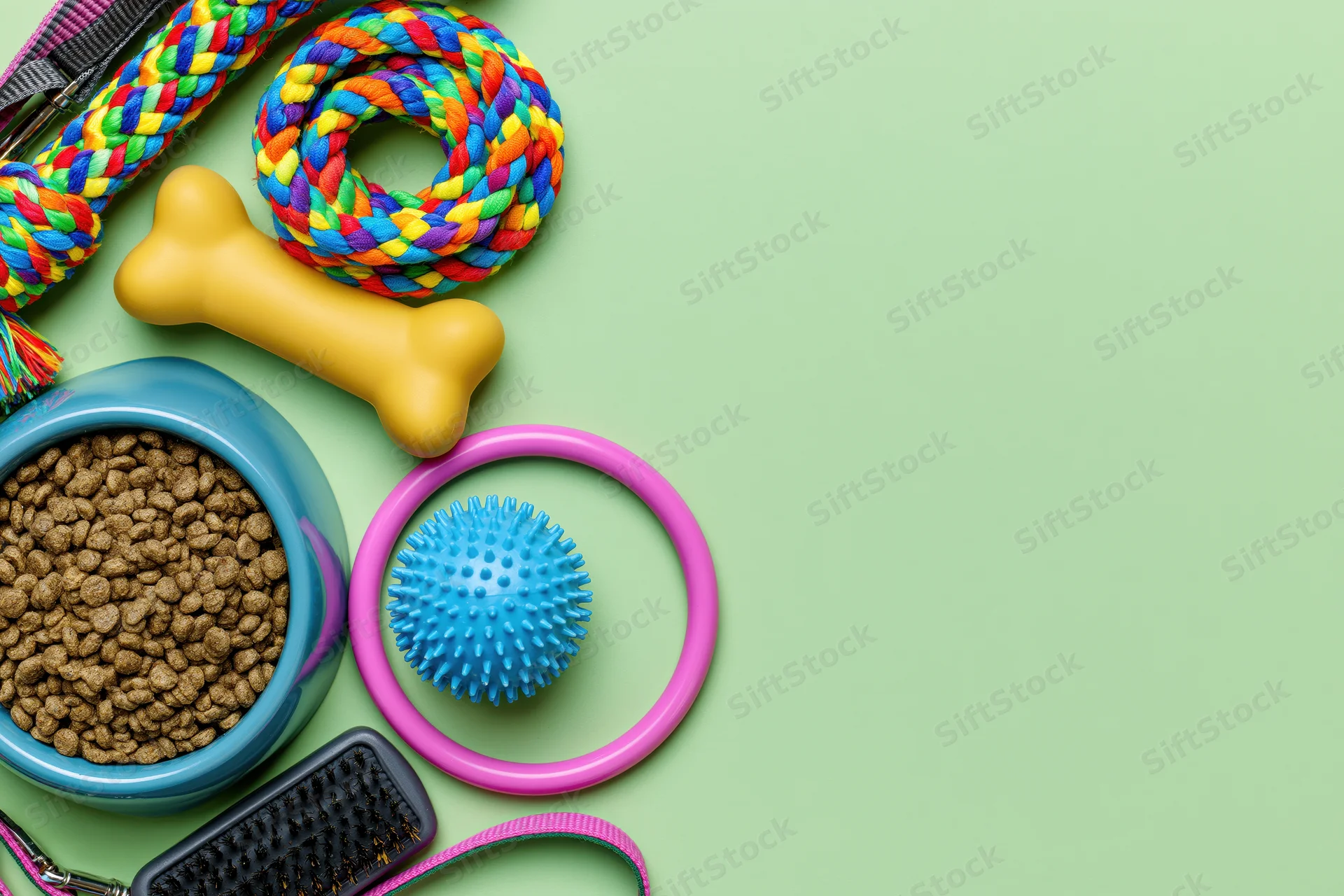 Pet accessories arranged along left edge on green background with copyspace