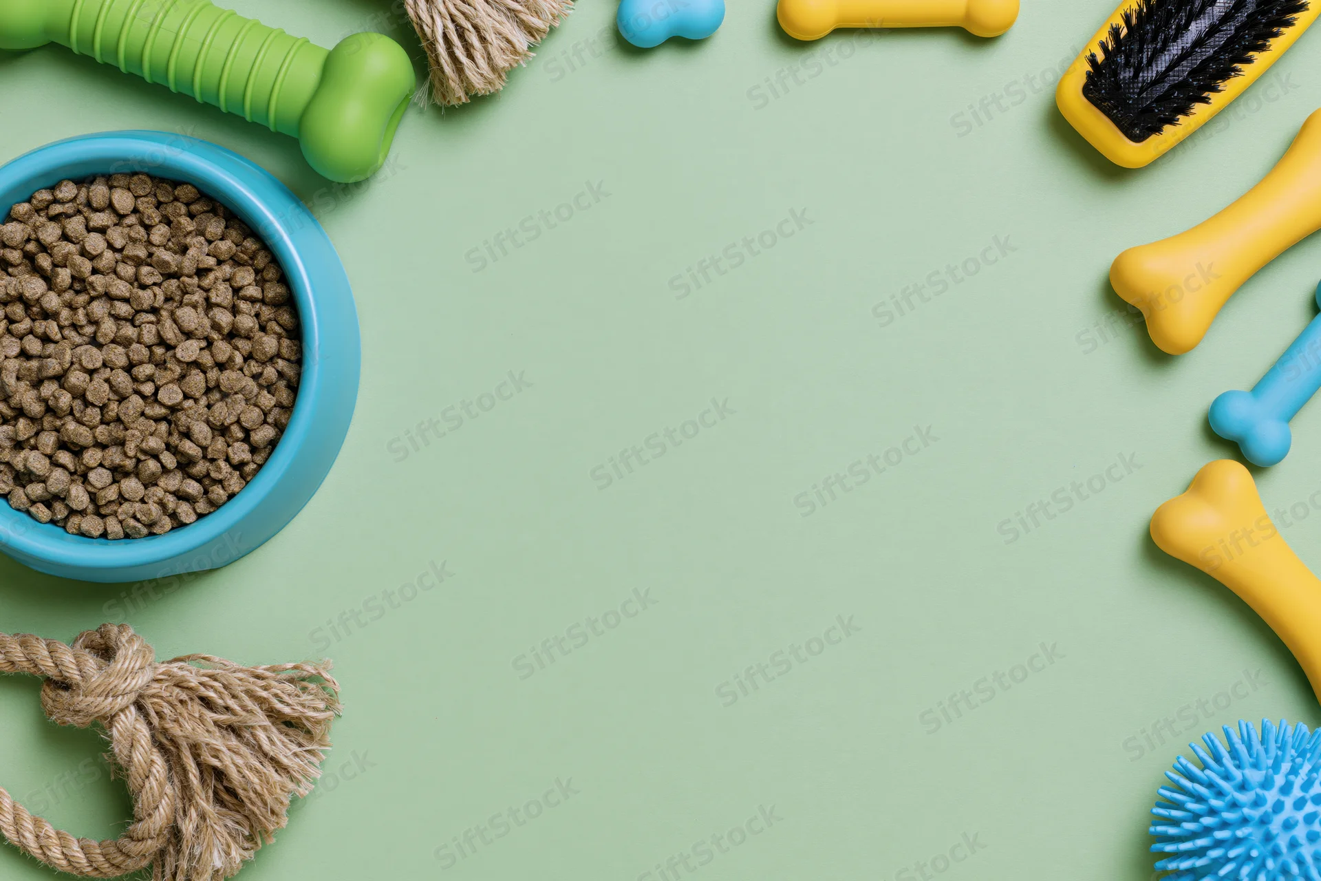Pet accessories arranged as border frame on green surface with copyspace