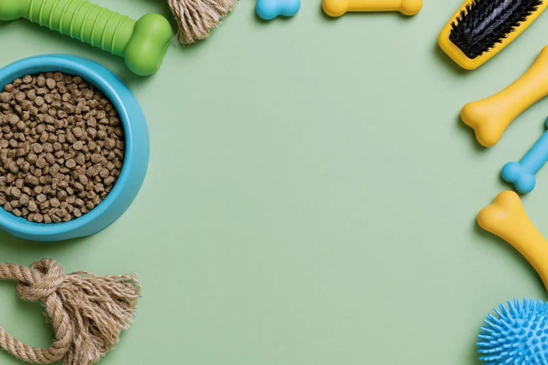 Pet accessories arranged as border frame on green surface with copyspace