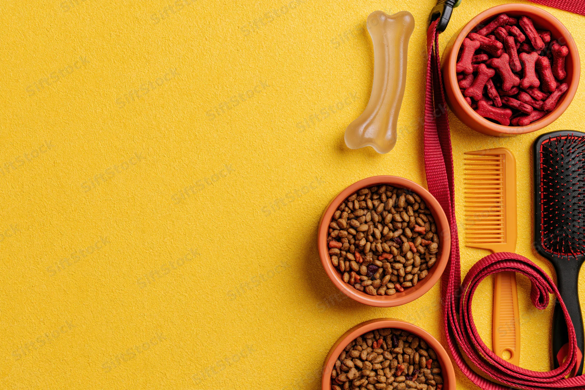 Dog supplies including food bowls, treats, leash, brush and comb arranged along right side on yellow background with copyspace