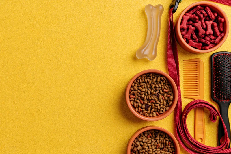 Dog supplies including food bowls, treats, leash, brush and comb arranged along right side on yellow background with copyspace