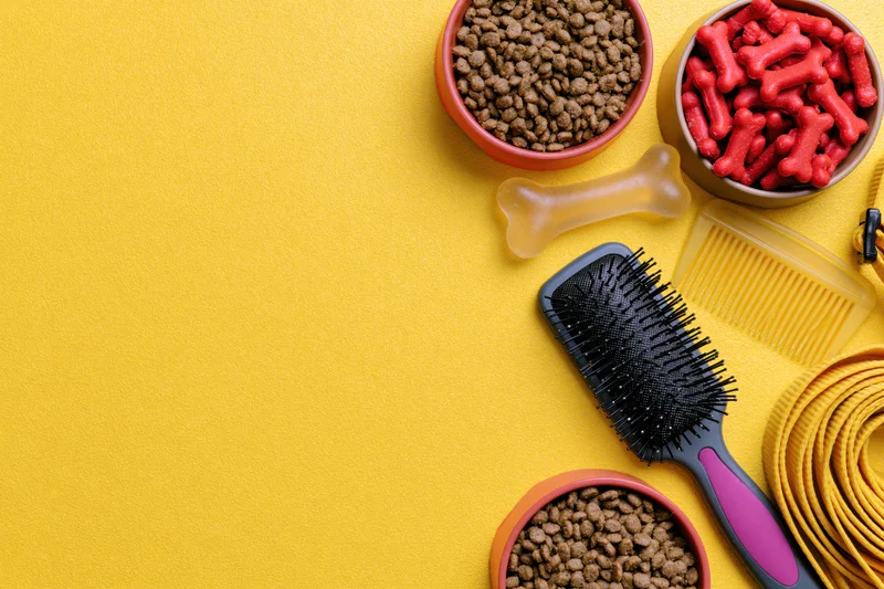 Pet care supplies arranged along the right side on yellow background