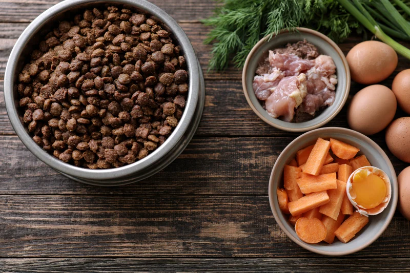 Pet food ingredients arranged on dark wooden table in flat lay view