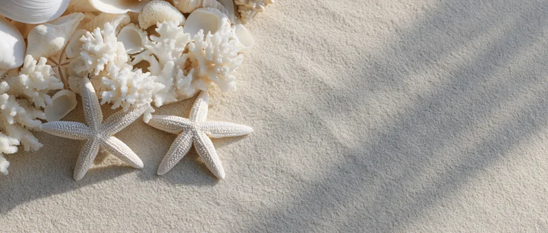 Two white starfish and coral pieces arranged on sand with seashells, creating a coastal flat lay with copy space on the right