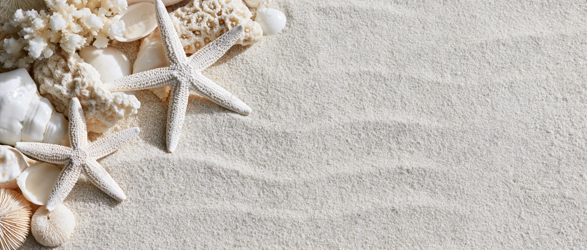 White starfish and coral pieces arranged with seashells on sand, left side of frame, copyspace on right