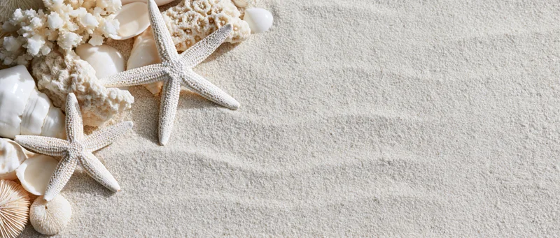 White starfish and coral pieces arranged with seashells on sand, left side of frame, copyspace on right