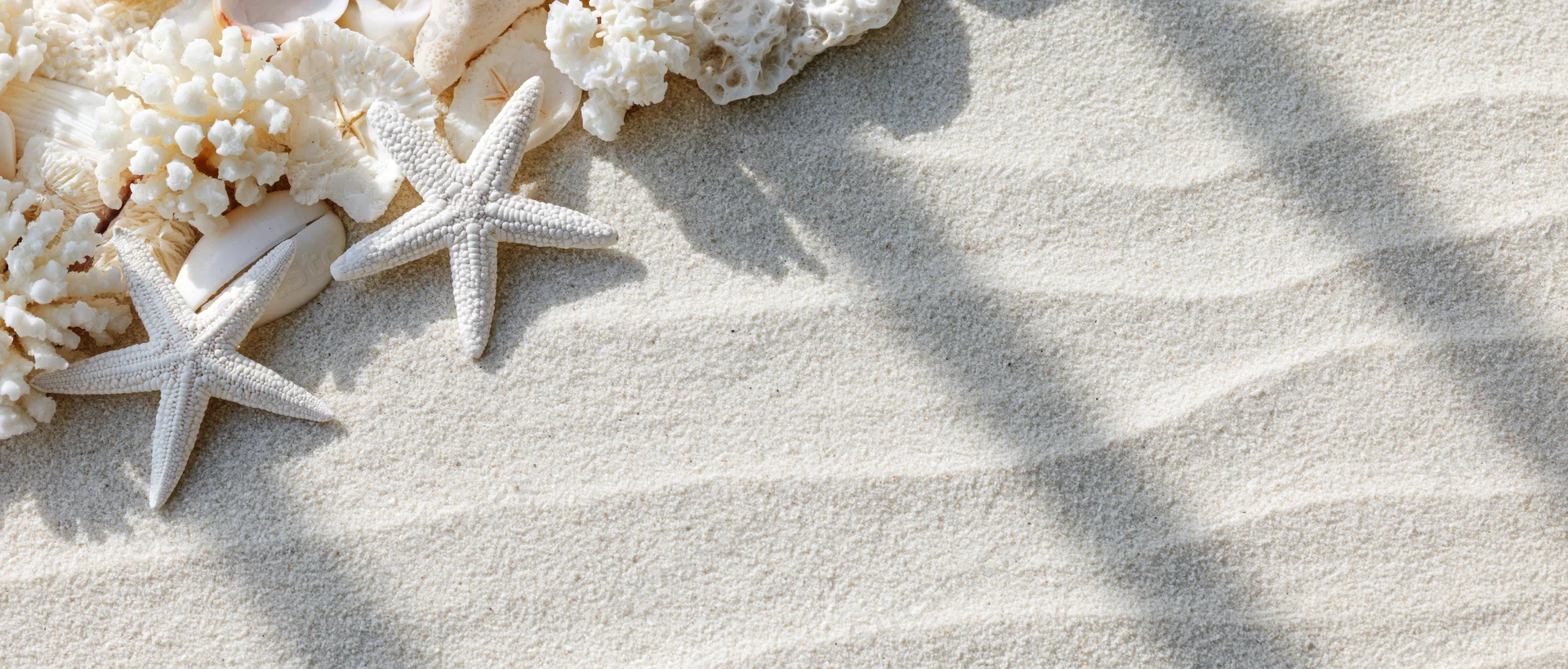 White starfish and coral pieces arranged on textured sand in a flat lay composition