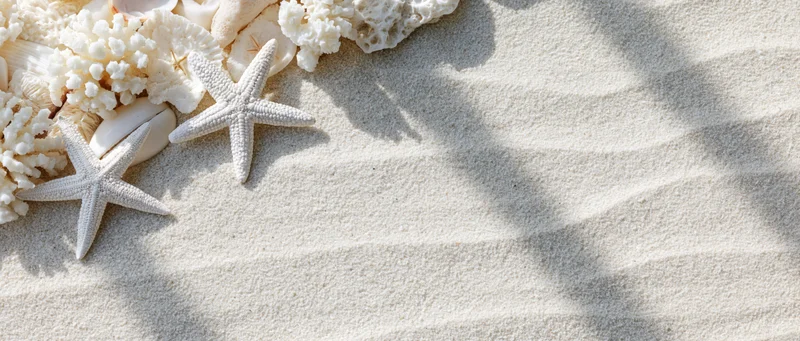 White starfish and coral pieces arranged on textured sand in a flat lay composition