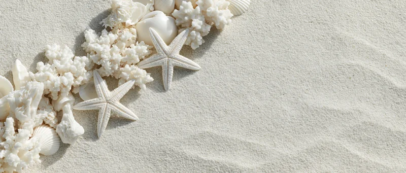 White starfish and coral pieces arranged on sand in a flat lay with copyspace on the right