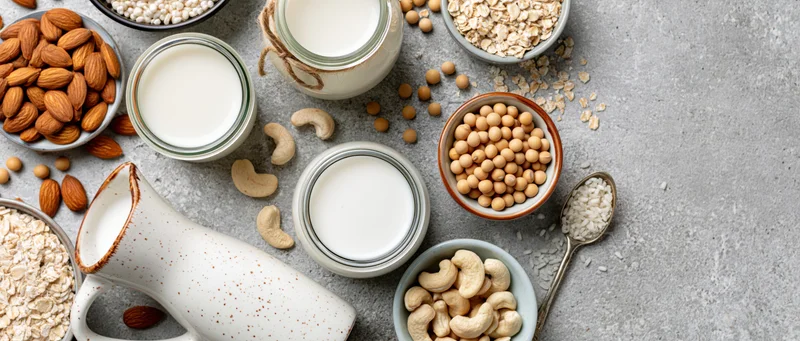 Plant-based milk alternatives in glass jars and bowls with nuts and grains on a gray countertop
