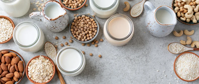 Various plant-based milk alternatives in glass jars and pitchers arranged with nuts, grains, and seeds on a gray countertop in a flat lay overhead view