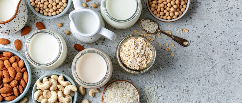 Various plant-based milk alternatives in glass jars and ceramic pitchers arranged on a gray countertop with nuts and grains
