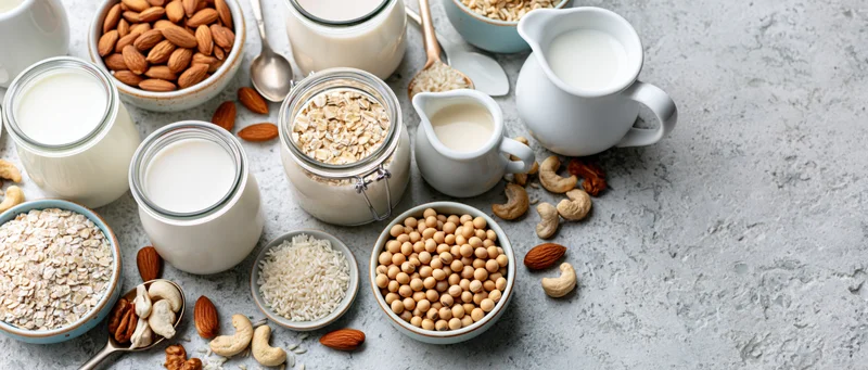 Various plant-based milk alternatives in glass jars and pitchers arranged on a gray countertop with nuts and grains