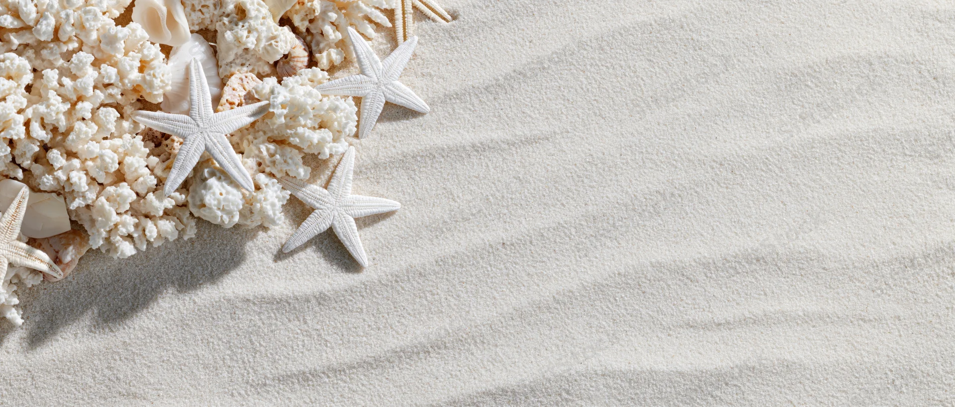 White starfish and coral fragments arranged on sand with copyspace for text
