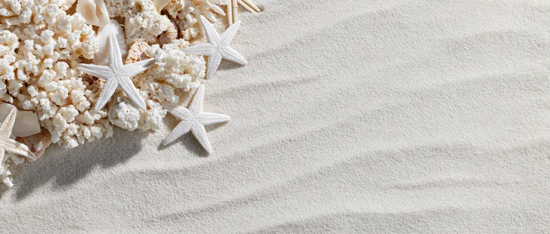 White starfish and coral fragments arranged on sand with copyspace for text