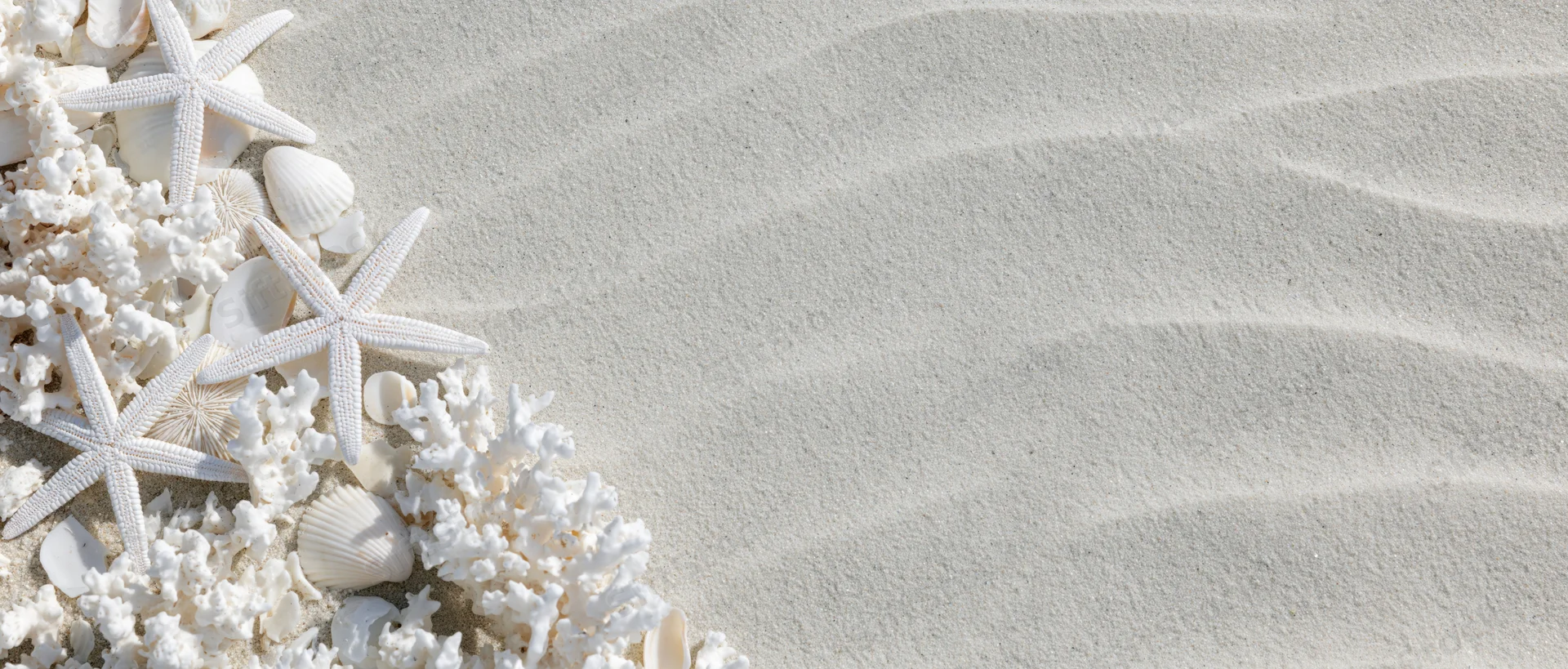 White starfish and coral fragments arranged on textured sand with copyspace on the right