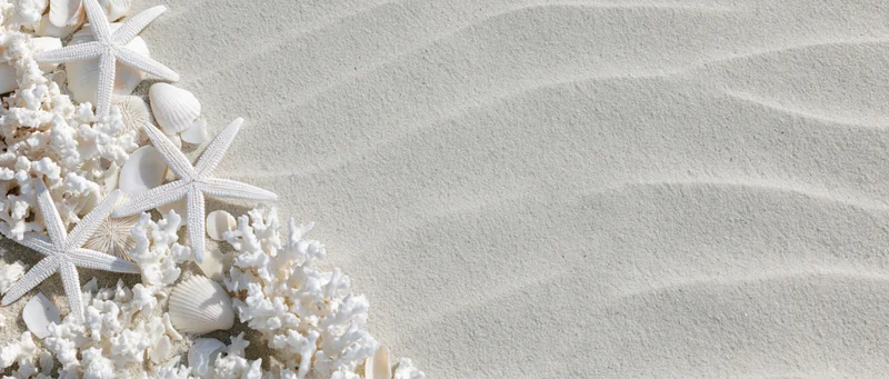 White starfish and coral fragments arranged on textured sand with copyspace on the right