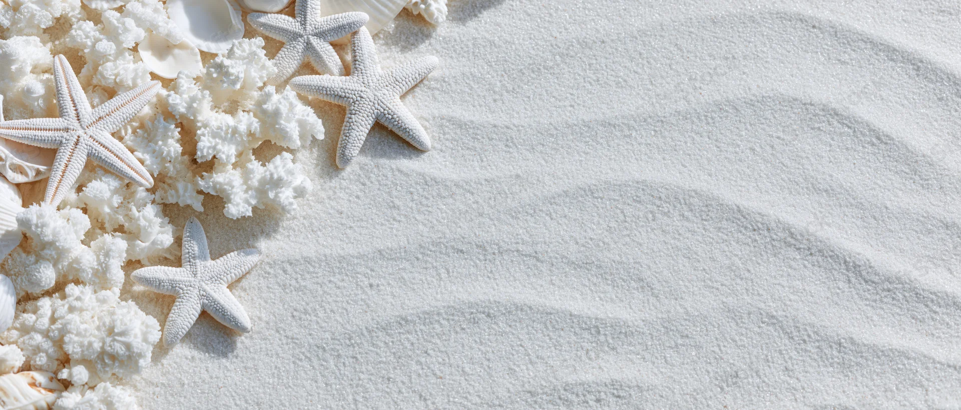 White starfish and coral fragments arranged on smooth sand with copyspace for text