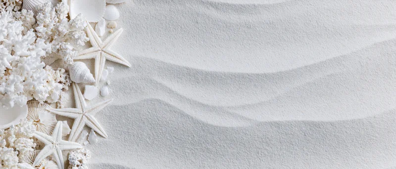 White starfish and coral fragments arranged on textured sand with copyspace